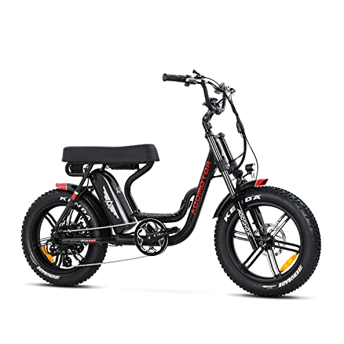 20'' Fat Tire Electric Bike with 750W Motor and 48V/20Ah Battery F817