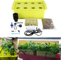 Medium Size 6 Plant Sites Hydroponic System Growing Kit with Air Pump O557