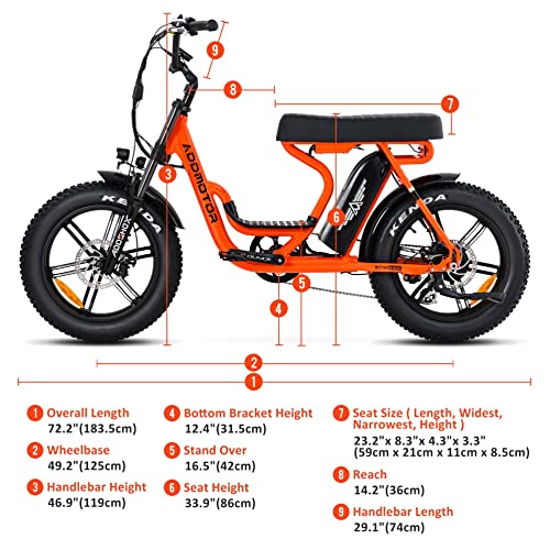 20'' Fat Tire Electric Bike with 750W Motor and 48V/20Ah Battery F817