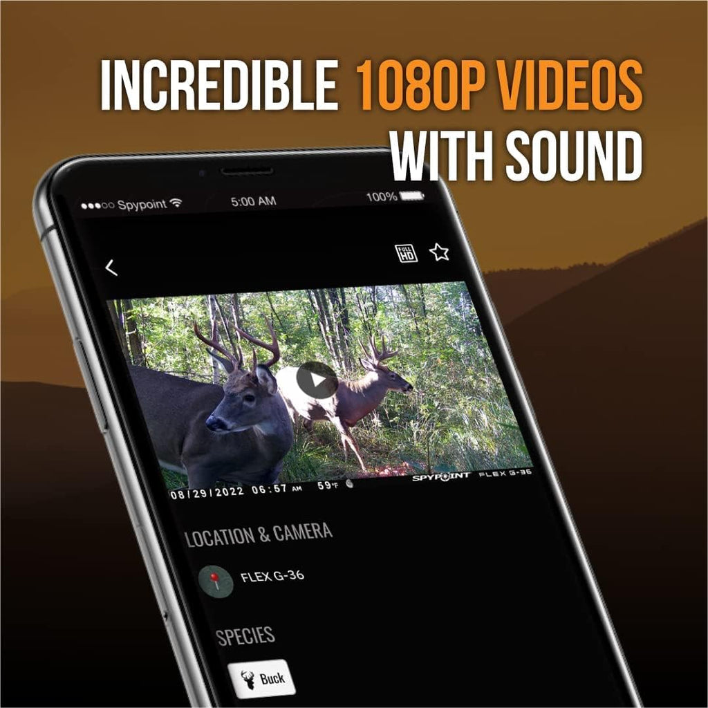 Twin Pack Cellular Trail Camera with 36MP Photos and 1080p Videos E736767