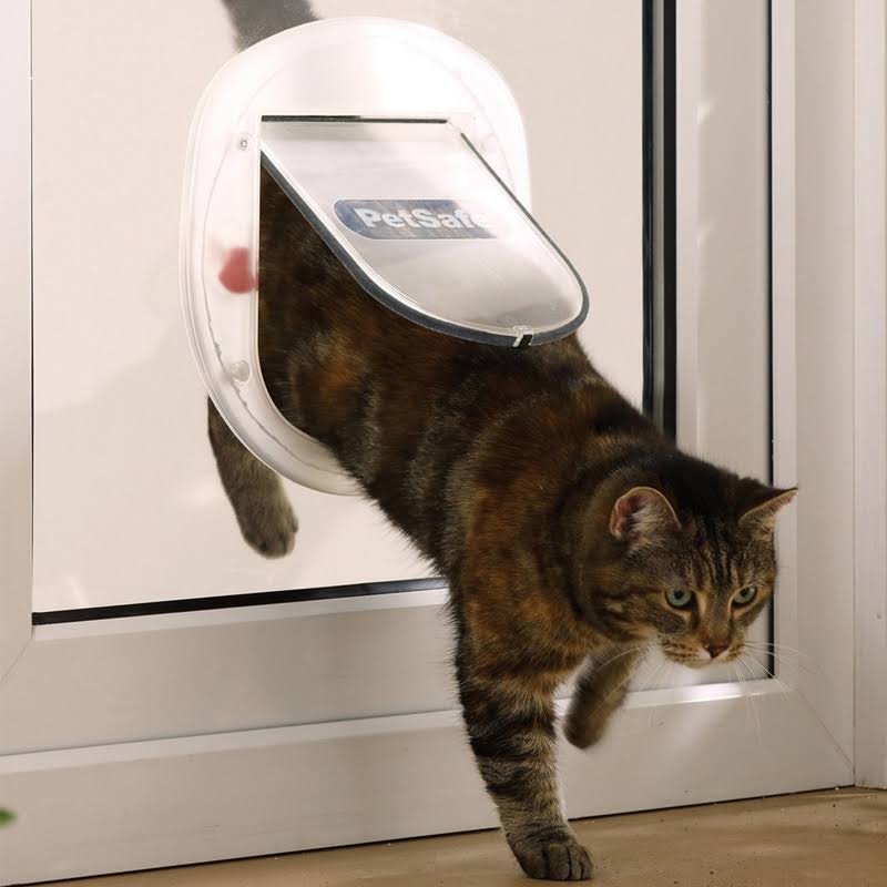 White Pet Door W290929