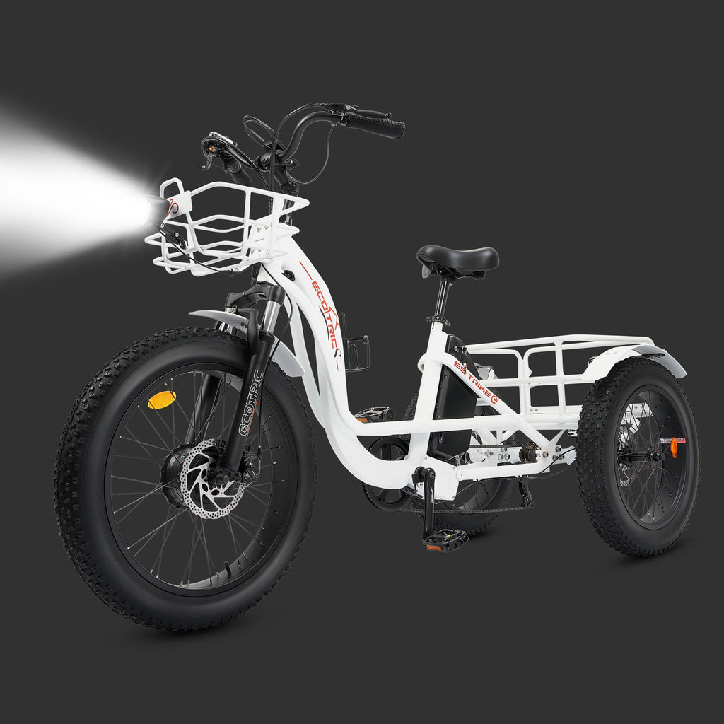 Electric Tricycle Fat Tire 750W 48V White R9242