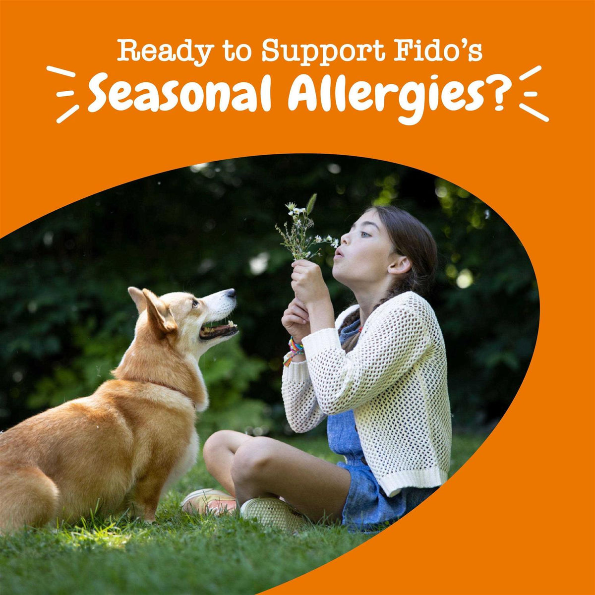 Lamb Allergy & Immune Mini Bites for Dogs O9686