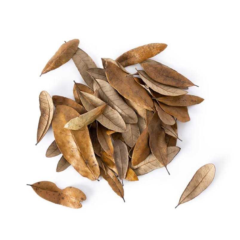 4 qt. Natural Live Oak Leaf Litter U7097
