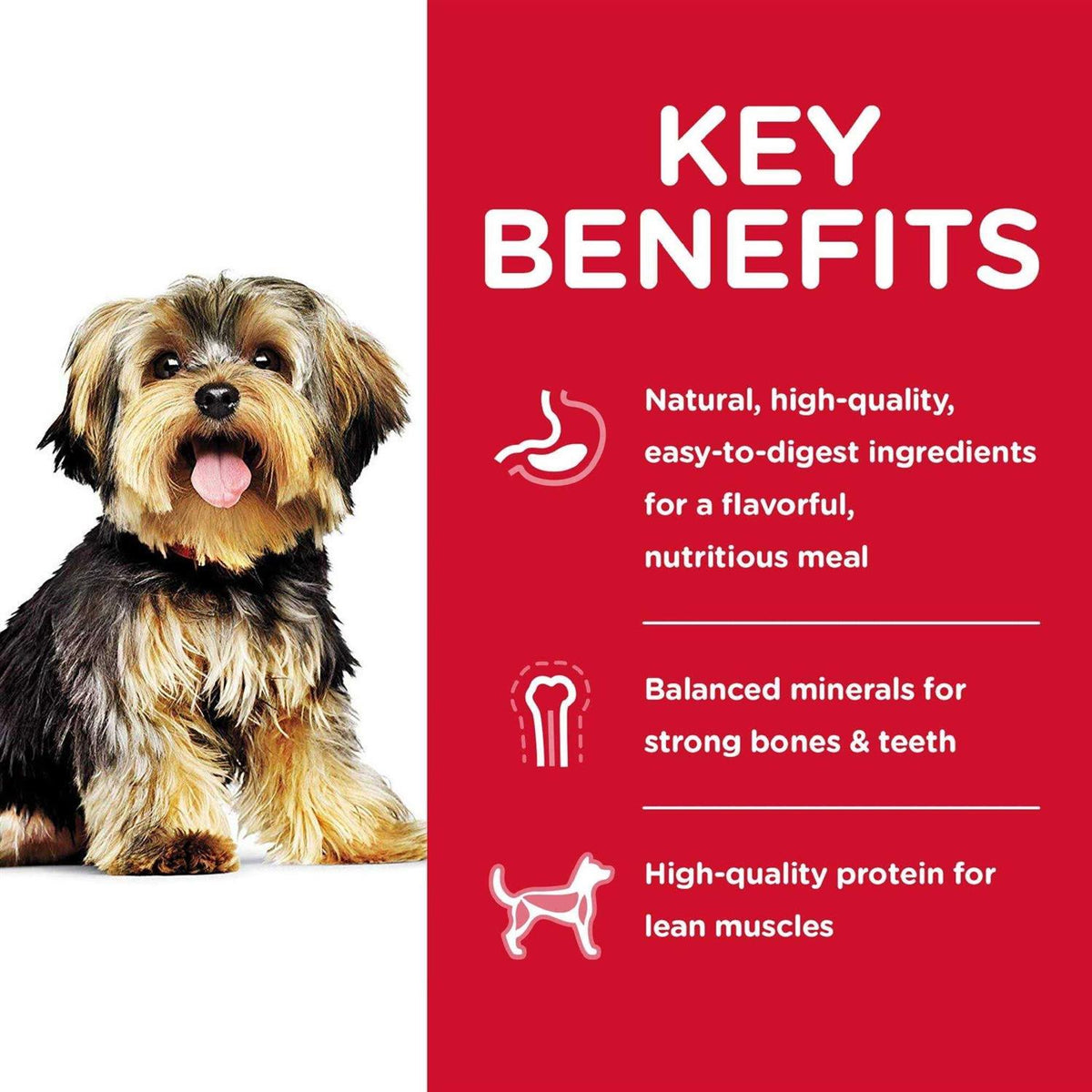 Wet Dog Food Variety Pack Q56349