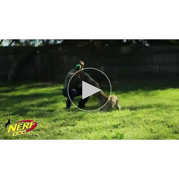 Dog Ball Dog Toy Y86651