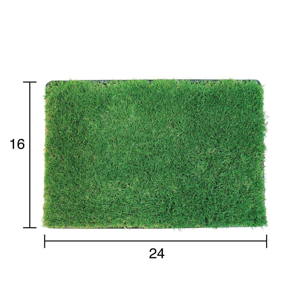 Grass with Tray R677