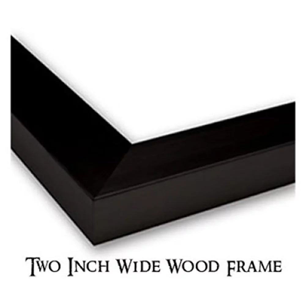 Black Framed Art Print E7839