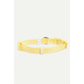 Collar U980113