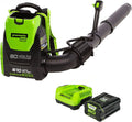 80V 610 CFM Brushless Backpack Blower with 2.5 Ah Battery & Charger I569181