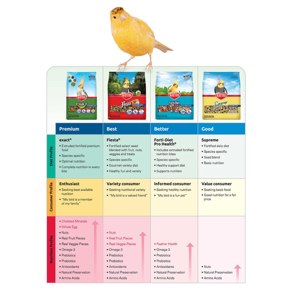 Parrot Food Z263844