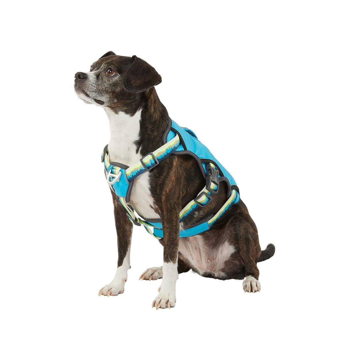 LED Dog Harness Z67000