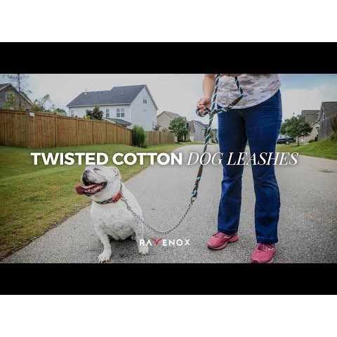 Dog Leash with Chain H74955