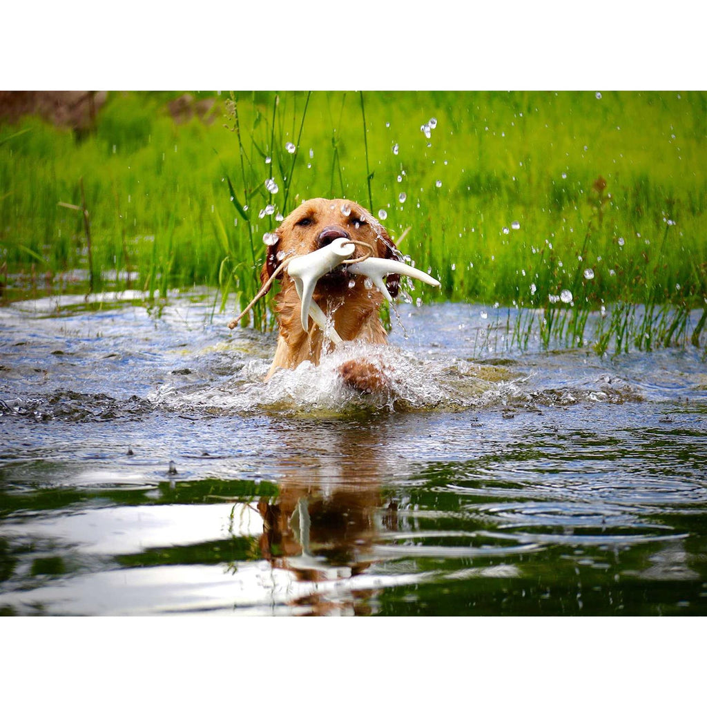 Dog Training Antler Retrieving System I788