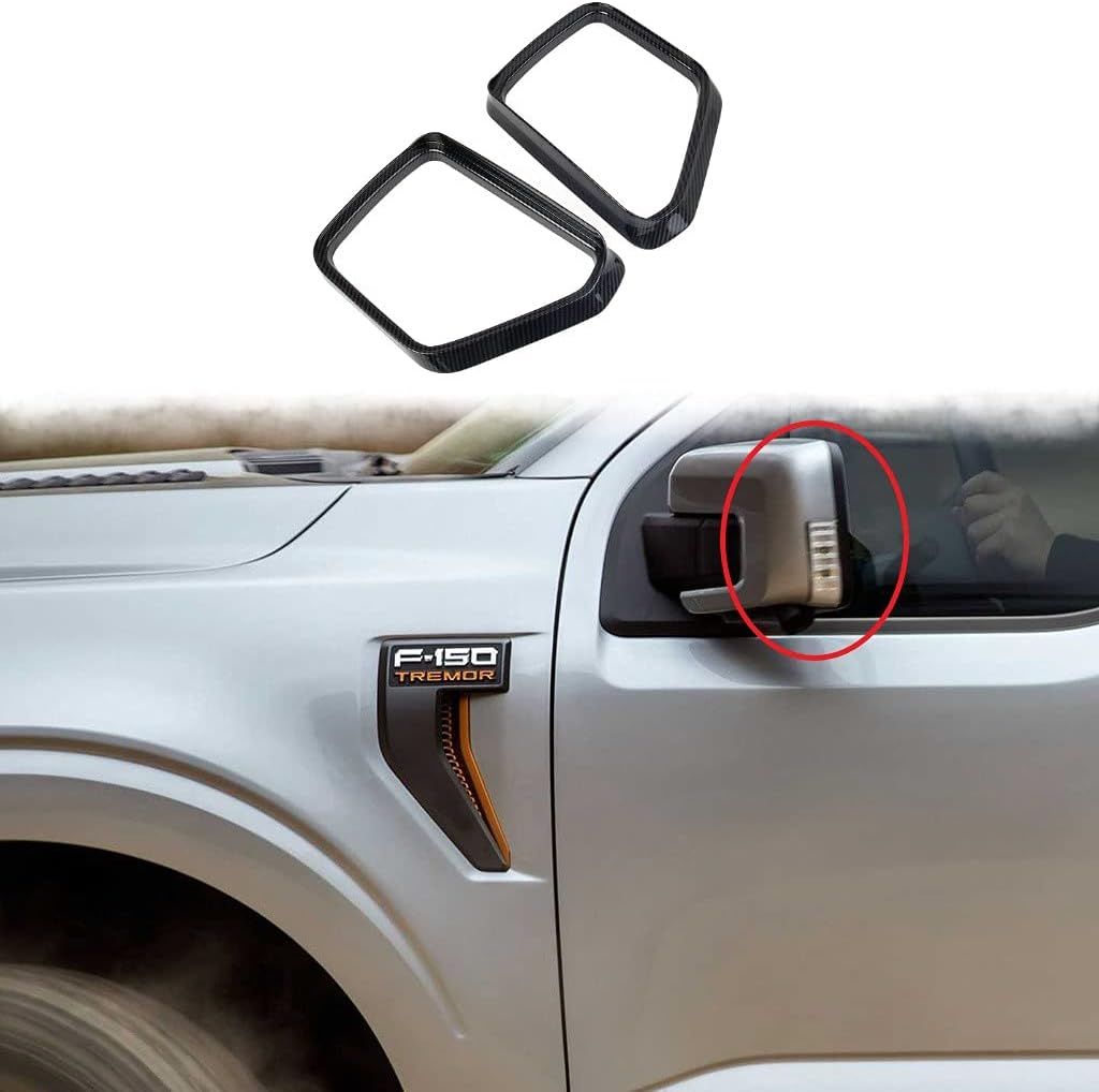 Carbon Fiber Side Door Mirror Visor Molding Trim Accessories Y2373