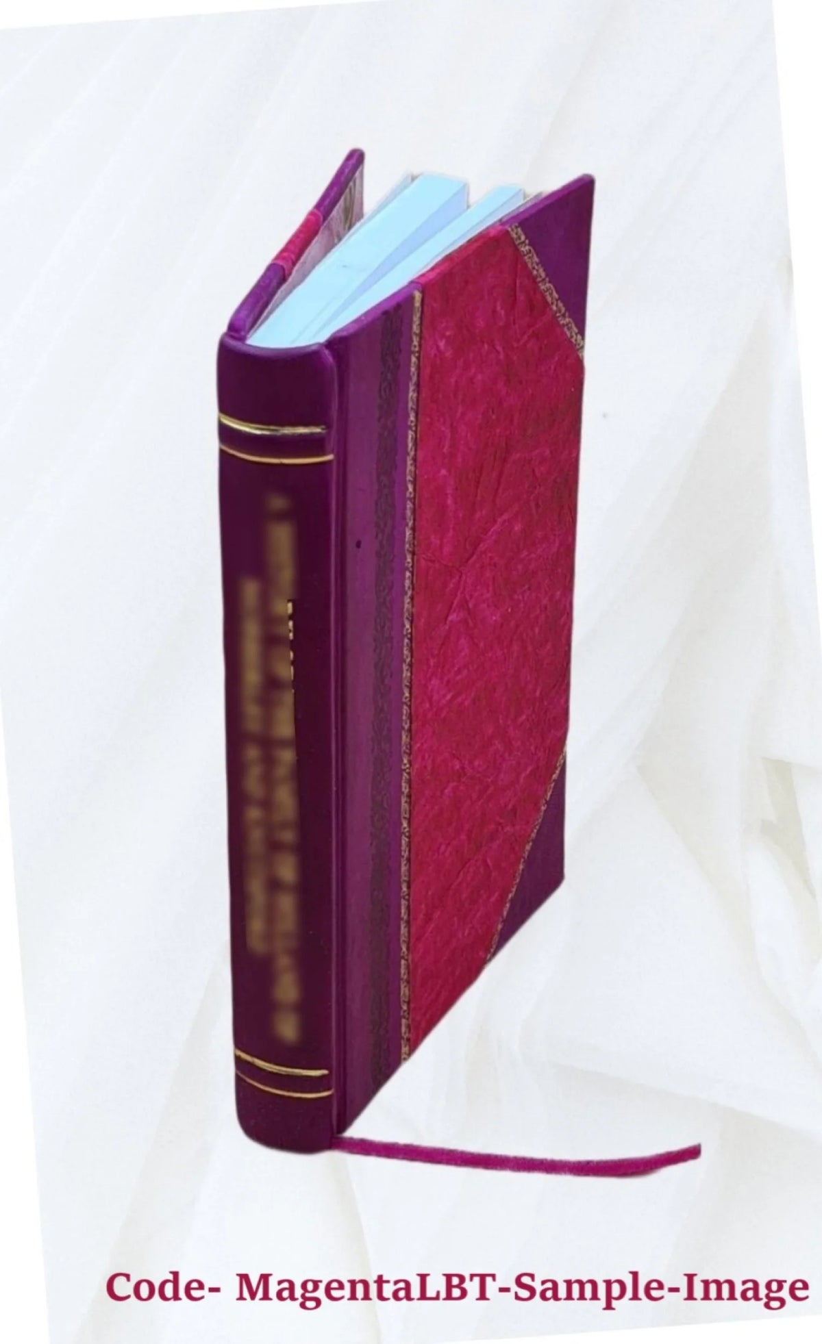 Pictorial History of the United States Leather Bound E86636
