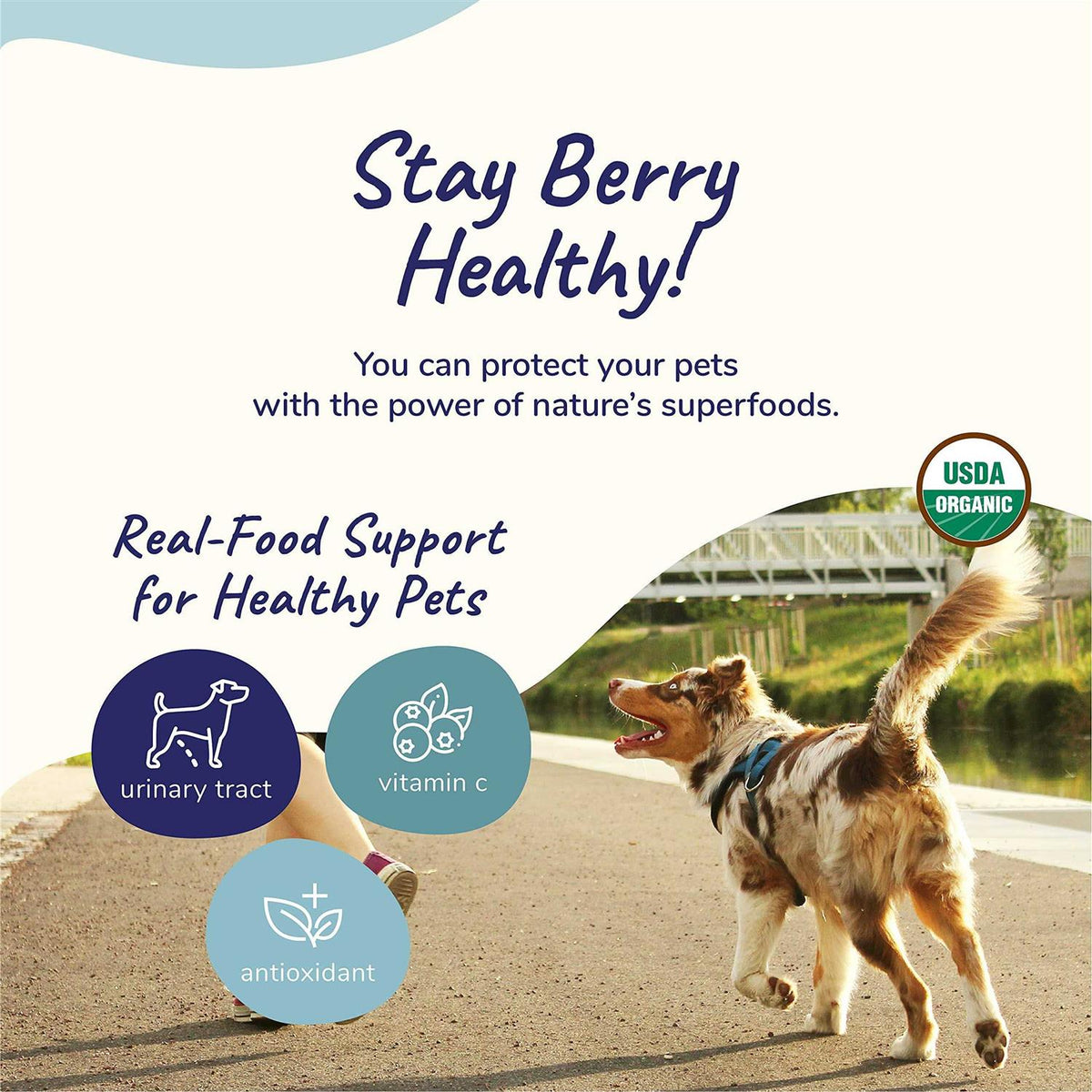 Healthy Immunity for Dogs and Cats G633