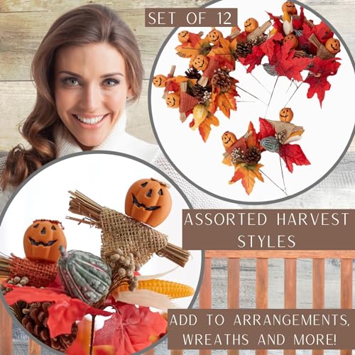 Set of 12 Assorted Pumpkin Face Picks 8-1/2 Inches High S9791