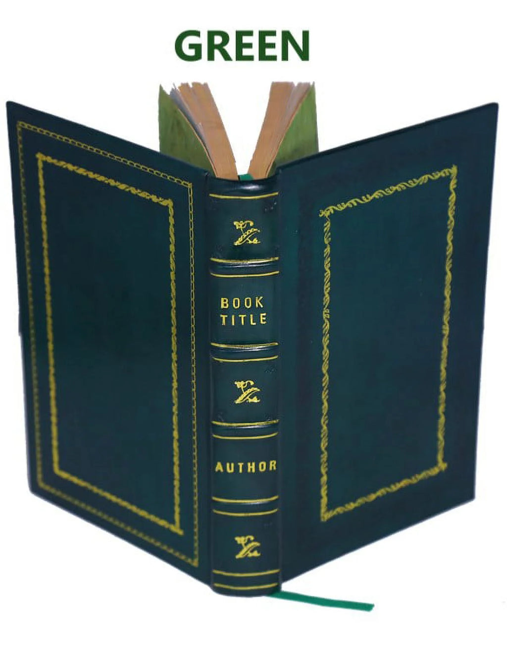 Premium Leather Bound Book P99369