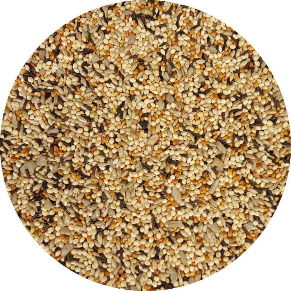 10 lb. Wild Bird Food E134