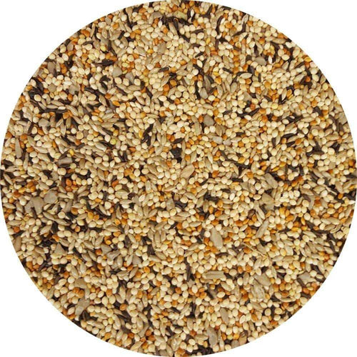 10 lb. Wild Bird Food E134