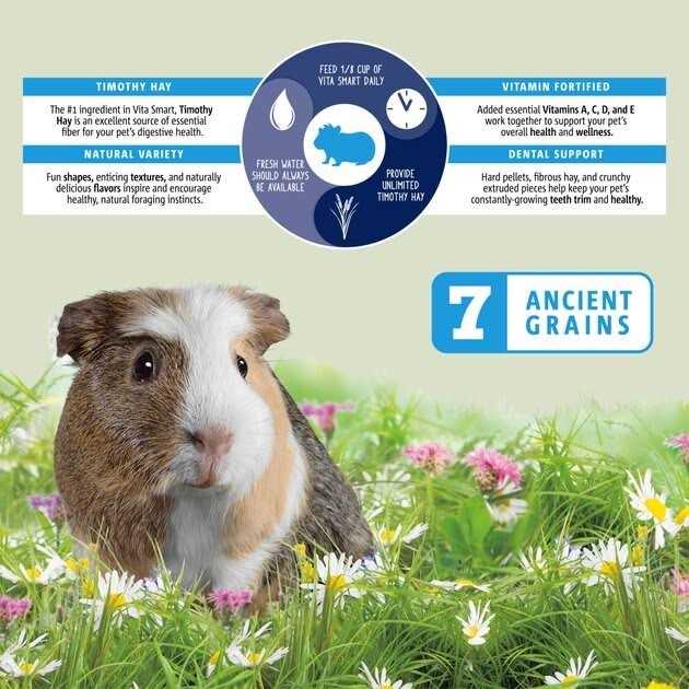 Guinea Pig Food G106
