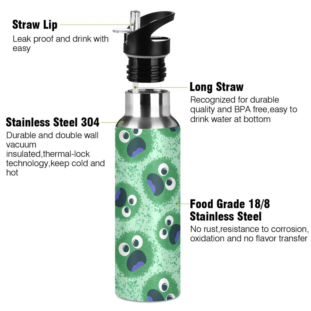 Stainless Steel Insulated Water Bottle with Straw Lid H55979