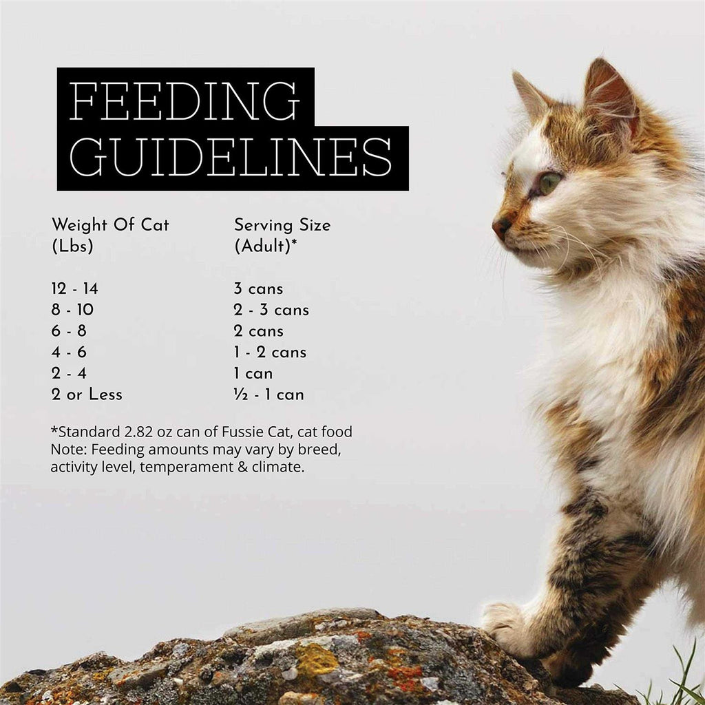 Chicken Gravy Cat Food O195