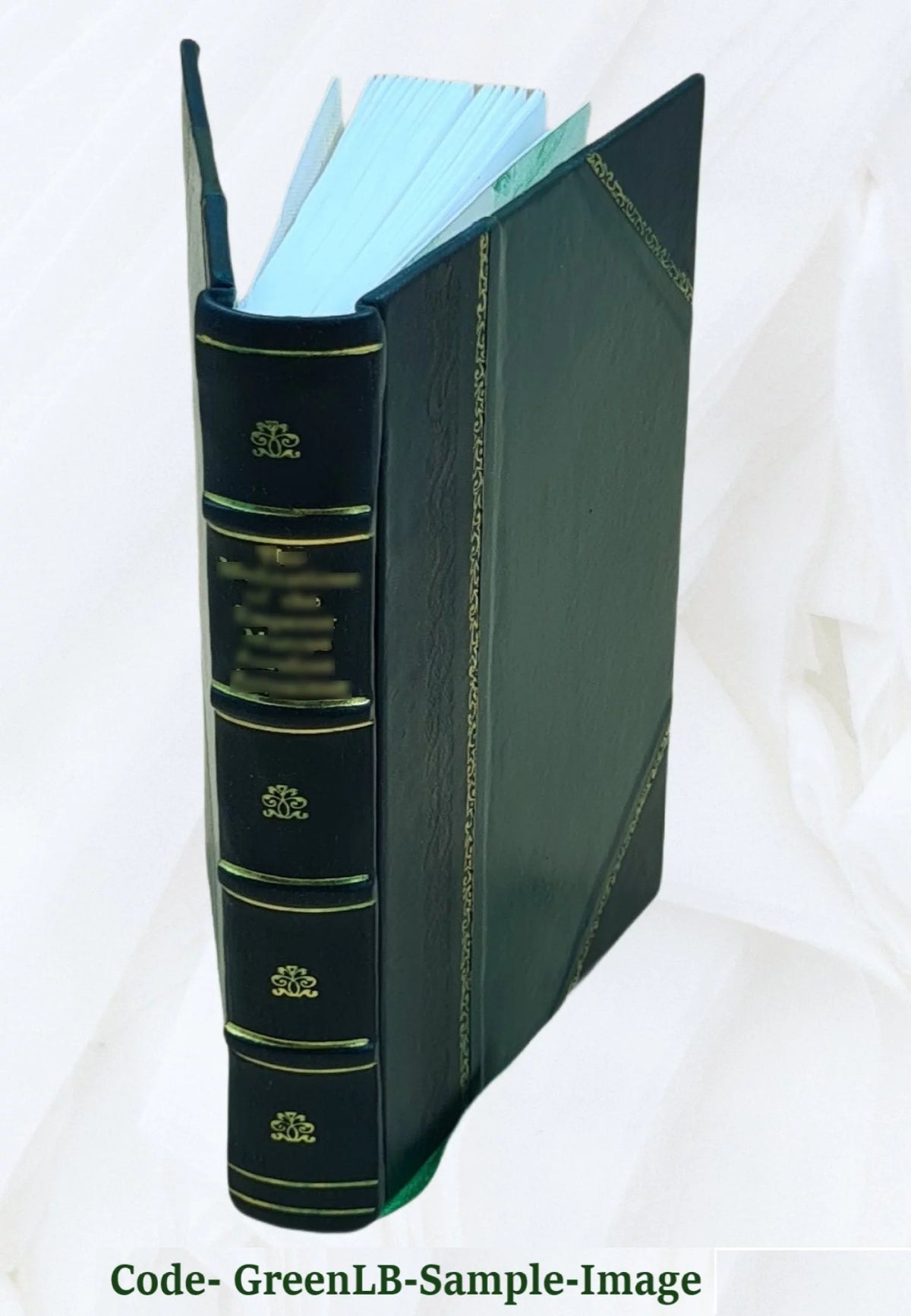 Water Supply of the United States Snake River Basin Leather Bound Z757