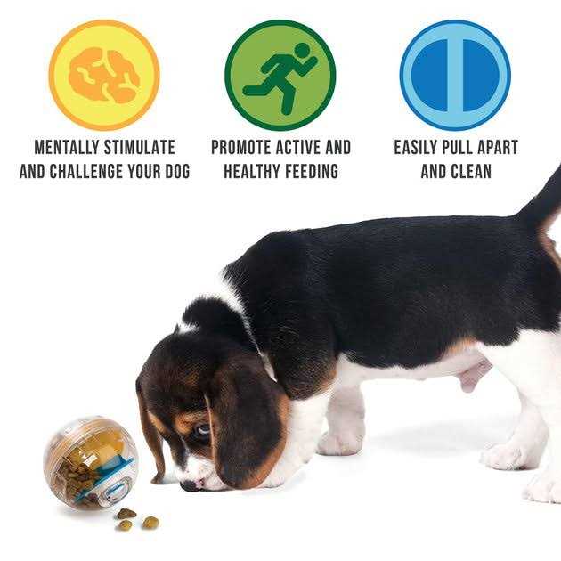 Dog Toy A2479