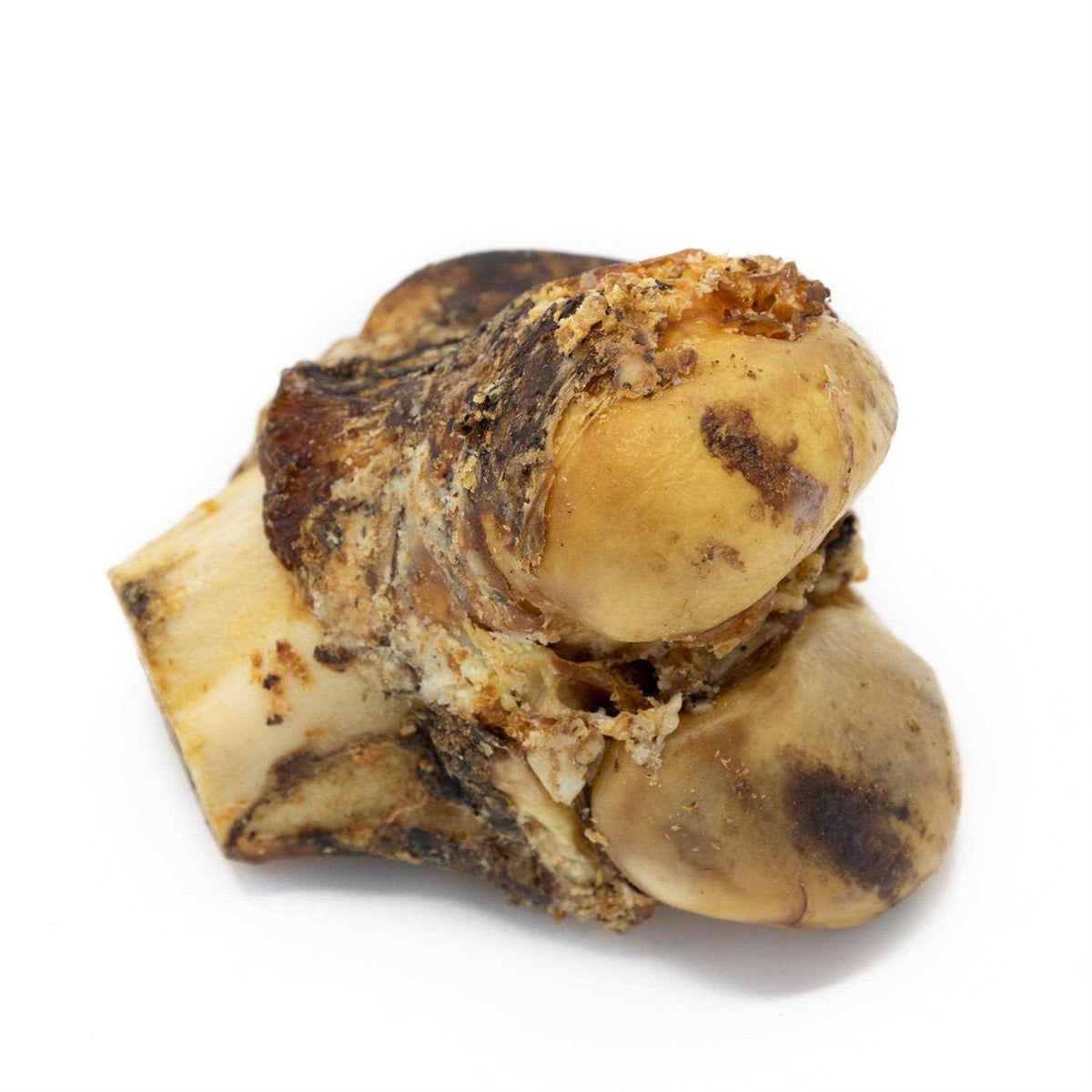 Knuckle Bone for Dogs T1591